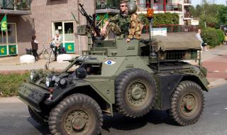 雪貂多少钱一只 雪貂多少钱一只