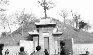 周口淮阳太昊陵 周口淮阳太昊陵