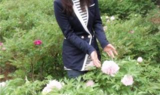 中国富豪排行榜2012