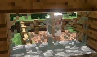 minecrafthim minecrafthim