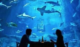 上海哪里有蹦极